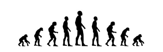 evolution mensch wandel w