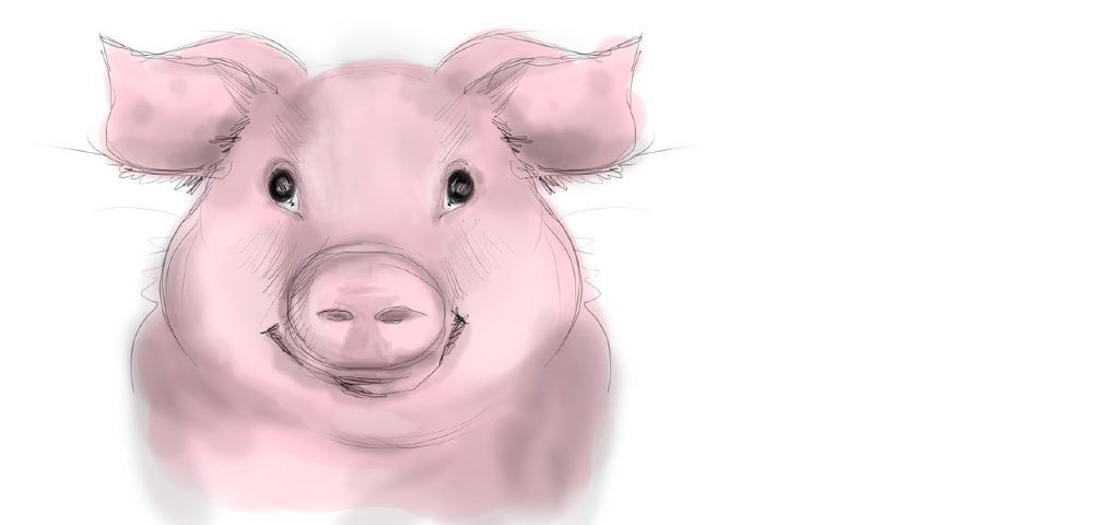 Lächelndes Schwein