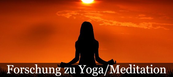 yoga forschung 250