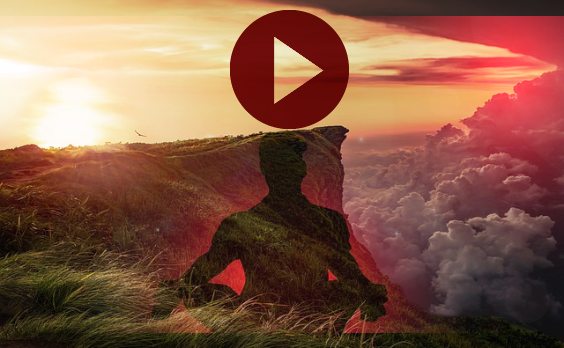 video yogi 101 i3e